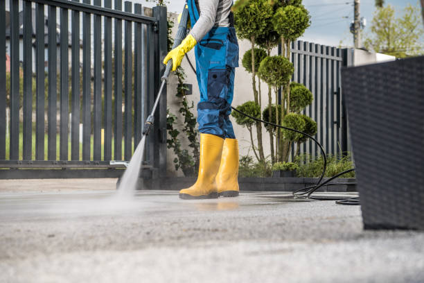 Best Roof Pressure Washing  in Pixley, CA